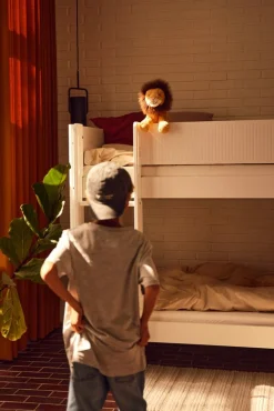 Etagenbett mit senkrechter Leiter